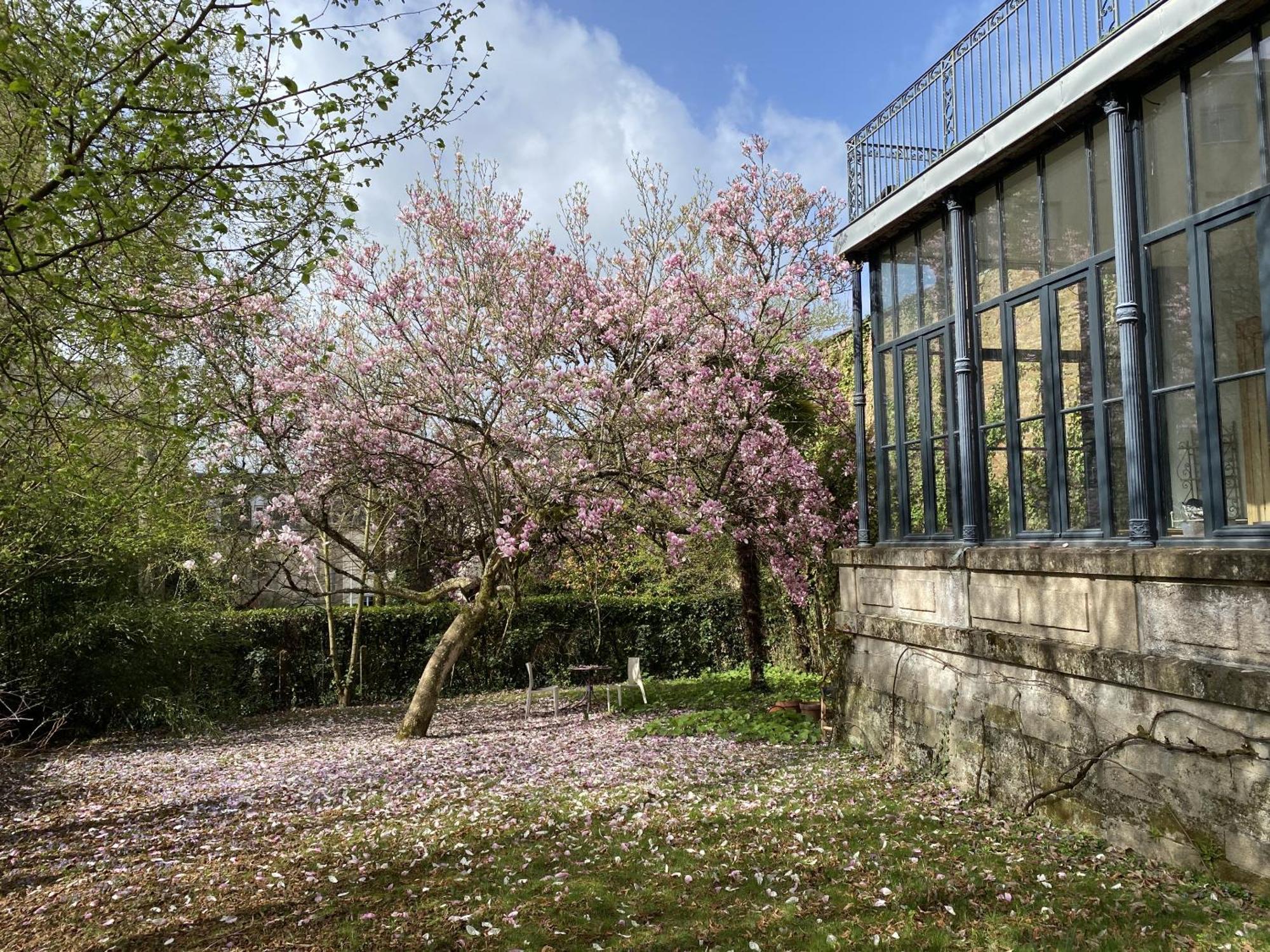 Villa Beaupeyrat Appart-hotel Limoges Rum bild